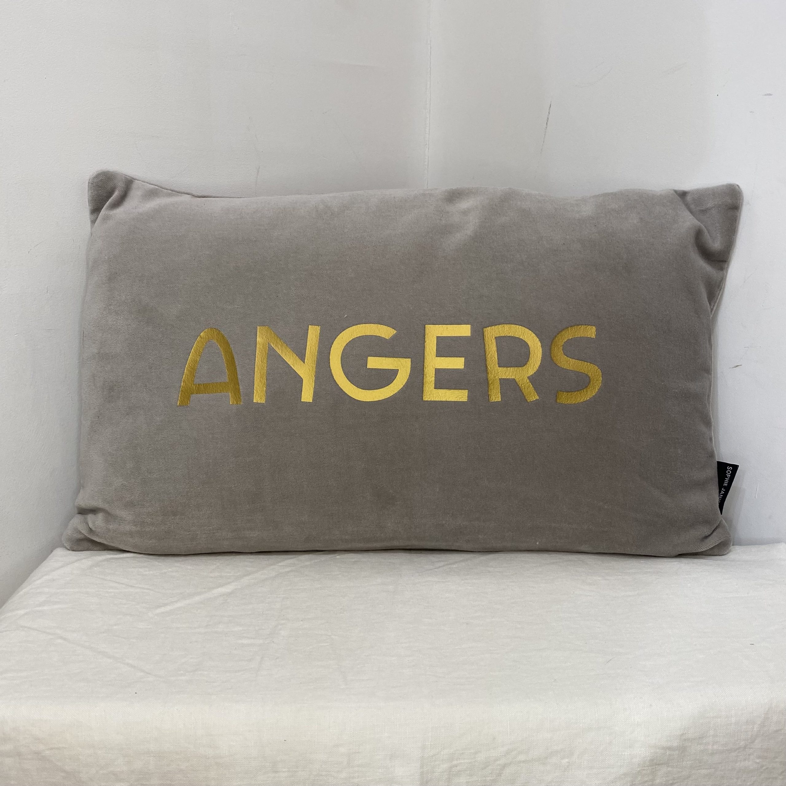 Coussin velour grisANGERS ac maison angers-min Coussin velour grisANGERS ac maison angers-min