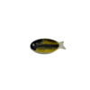 Le-petit-poisson-barbus-yellow-15cm OPJET A&C Angers 1-min