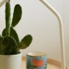 Bougie adopo flowers A&C Angers paddywax-min