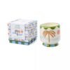 Bougie adopo palmier paddywax A&C Angers 1 -min