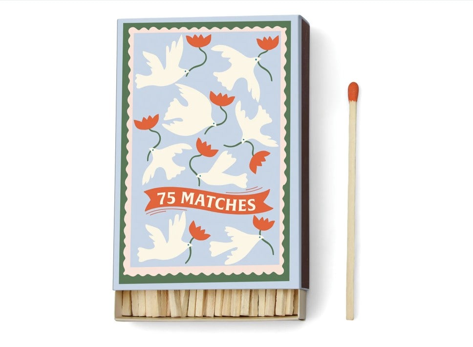 Allumette flower cactus A&C Angers-min Allumette flower cactus A&C Angers-min